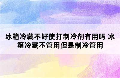 冰箱冷藏不好使打制冷剂有用吗 冰箱冷藏不管用但是制冷管用